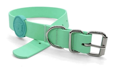 Morso wasserdichtes Hundehalsband recycelt karibisch grün nachhaltig robust