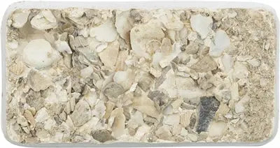 Trixie Piksteen Met Schelpen Mineralen En Mosselen