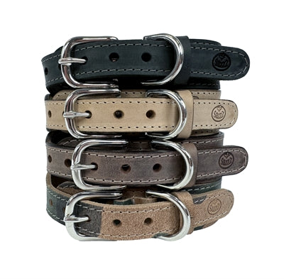 Sazzz Boho Vintage Hundehalsband Leder beige am Hund getragen – Hundehalsband Boho Stil natürlich
