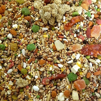 Hareco Select Pellets Vogelfutter Detailansicht Körner – Papageienfutter Premium Saaten Pellets Mischung