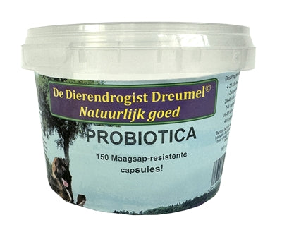 Dierendrogist Probiotika-Kapseln für gesunde Darmflora bei Hunden und Katzen