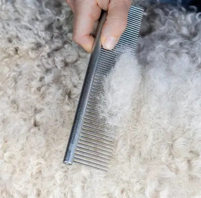 Mikki Deadle Kam