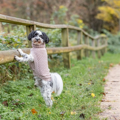 Trixie Norwood Hundepullover – Größenvergleich am Hund getragen blush