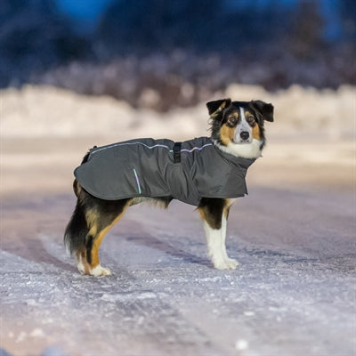 Hundemantel Trixie Limoux steingrau – Verpackung und Produktdetails