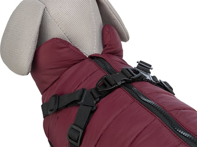 Hundemantel Trixie Pirou mit Geschirr sangria – Rückenansicht