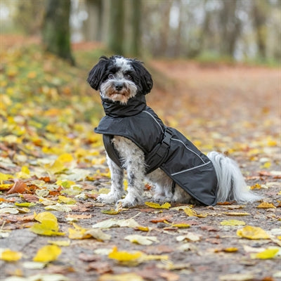 Hundemantel Trixie Brizon schwarz – Verpackung und Produktinfo