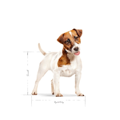 Royal Canin Mini Erwachsener Detailansicht – Hundefutter Kroketten Nährwertangaben Nahaufnahme