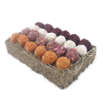 Rosewood Gift 'N' Forage Trüffelgericht – Leckerli-Suchspiel für Nager und Kaninchen