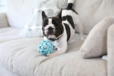 Hundespielzeug JW Hol-Ee Walze Trend-Ee blau – Detailansicht Gitterstruktur