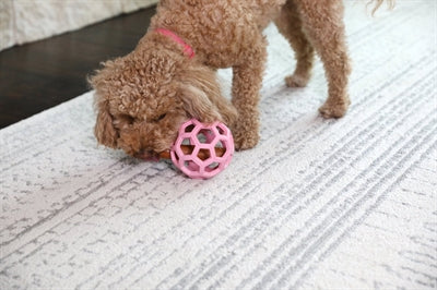 JW Hol-Ee Roller Trend-Ee rosa Hund spielend Anwendung