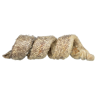 Trixie Denta Fun Curl Wokkel Detailansicht – gedrehter Kausnack für Zahnpflege beim Hund
