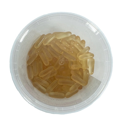 Dierendrogist Lachsöl-Kapseln Detailansicht – Omega-3 Ergänzung für glänzendes Fell
