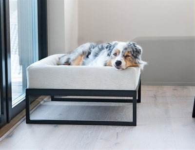 Bia Hundebett schwarz Detailansicht – komfortables Liegekissen Nahaufnahme Stoff
