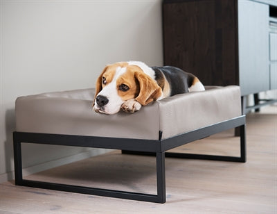 Bia Bett Schwarz