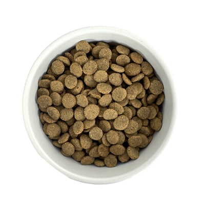 Budget Premium Senior Light Kroketten – Nahaufnahme des Trockenfutters
