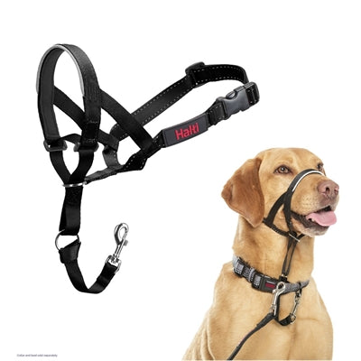 The Company Of Animals Gesellschaft Der Tiere Halti Halsband Schwarz