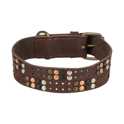 Trixie Leder-Hundehalsband rustikal mit Nieten – Seitenansicht Schnalle