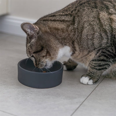 Trixie Keramik-Katzennapf sortiert – Detailansicht Innenglasur und Größe