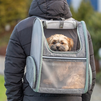 Trixie Chloe Hunderucksack Hellgrau mit Hund Größenvergleich