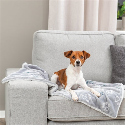 Trixie Jimmy Soft Hundedecke hellgrau Nahaufnahme weicher Stoff