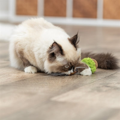 Trixie Matatabi Lolly für Katzen – Nahaufnahme des natürlichen Kau- und Spielholzes