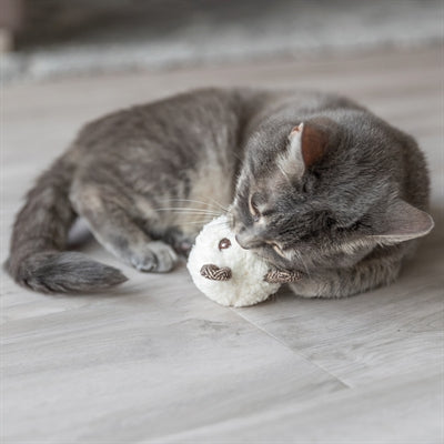 Trixie Plüsch-Bär Katzenminze Spielzeug verschiedene Farben