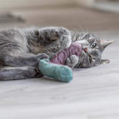 Trixie Spielkissenrolle Katzenminze Plüsch-Spielzeug verschiedene Farben
