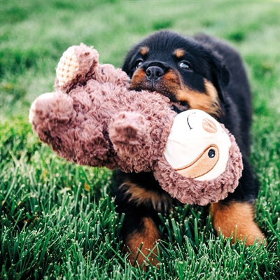 Multipet Wrinkleez Hundespielzeug Verpackung und Produktübersicht