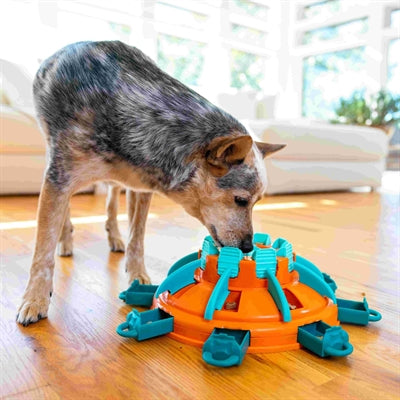 Nina Ottosson Hunde-Intelligenzspielzeug Leckerli-Turm – Hund beim Spielen und Suchen