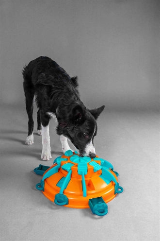 Nina Ottosson Leckerli-Turm orange/blau – Verpackung mit Spielanleitung