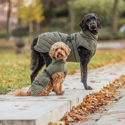 Trixie Minot Hundebekleidung olivgrün – Bauchgurt Detailaufnahme