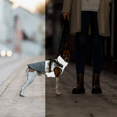 Hundemantel Trixie Pontis Reflect Grey – Verpackung und Produktinfo