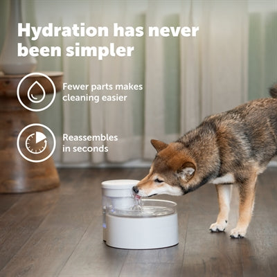 Trinkbrunnen Überdauern von Petsafe für Hunde, Rückansicht
