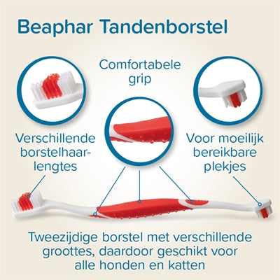 Beaphar Shampoo und Bürste Set Hund – Nahaufnahme Shampooflasche