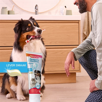 Beaphar Hundepflege Set – Anwendungsbeispiel Shampoo und Bürste