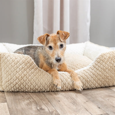 Trixie Hundekorb Kaline Mio hellbraun eckig Draufsicht