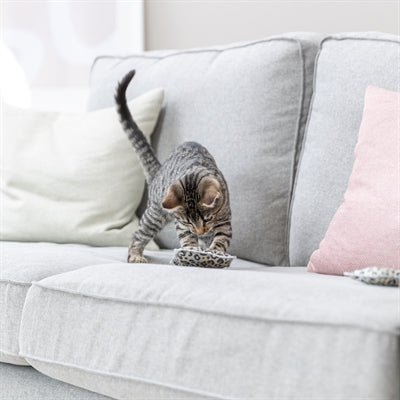 Trixie Spielkissen Leo Panther-Print Verpackung und Details