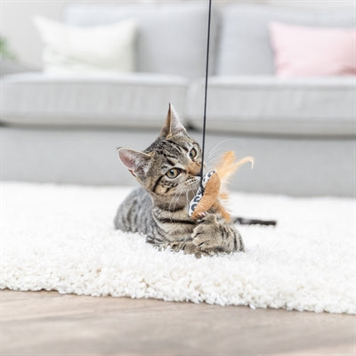 Katze spielt mit Trixie Herz Holz-Baumwoll-Spielzeug Katzenminze