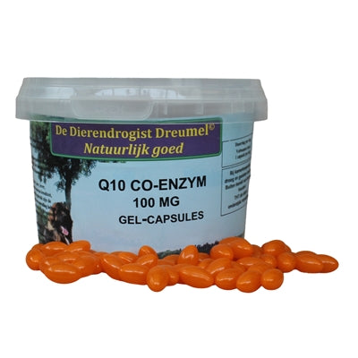 Dierendrogist Q10 Kapseln Rückseite – Ergänzungsfutter mit 100 mg Q10 pro Kapsel