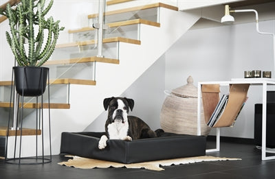 Bia Bett Kunstlederbezug Hundekorb Schwarz