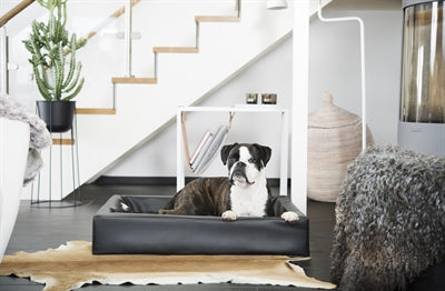 Bia Bett Kunstlederbezug Hundekorb Schwarz