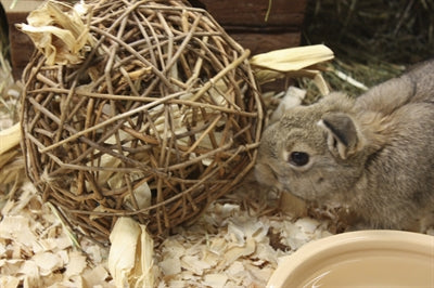 Nature First Happy Pet Toy Weide Nature First