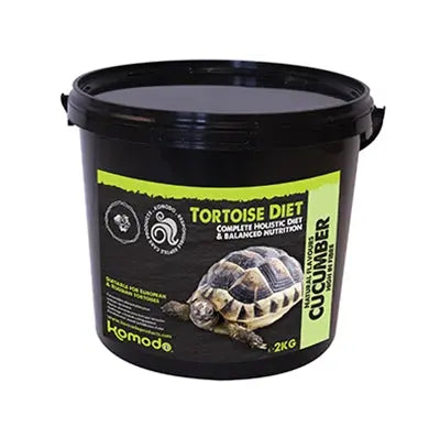 Komodo Futterschildkröte Gurke