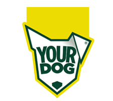 Your Dog